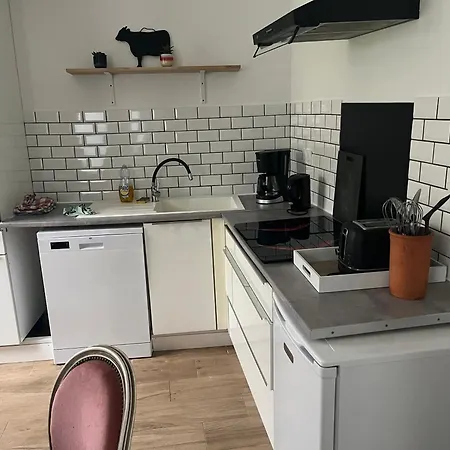 Au Bord Du Gave 公寓 拉兰